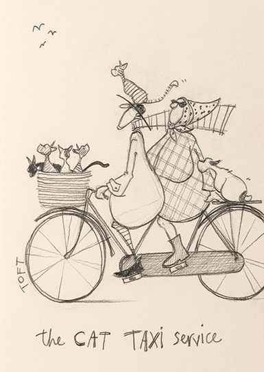 Cat taxi service Sam Toft